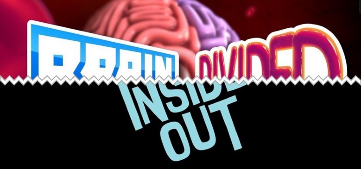 brain-divided-inside-out