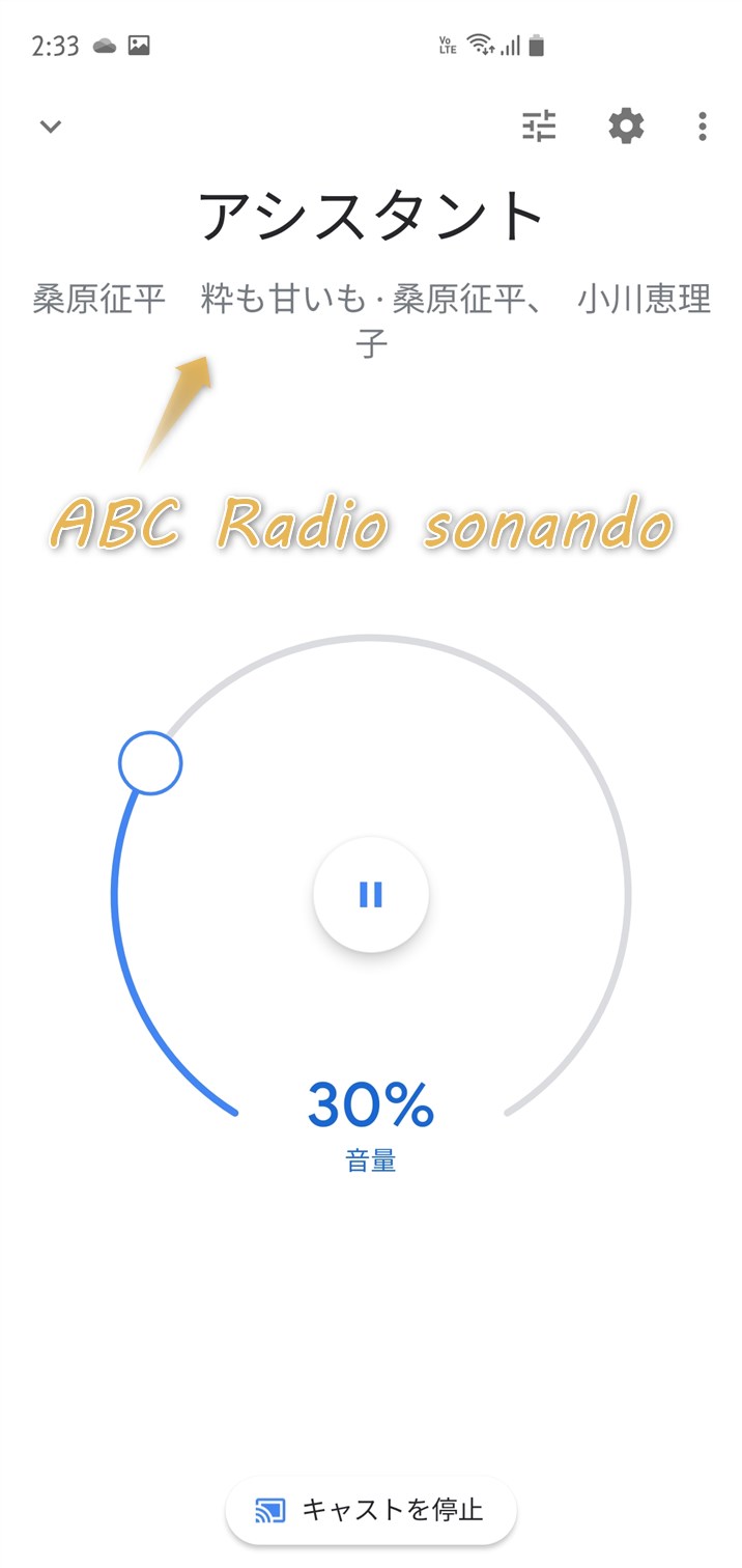 googlehome-assistant-mainiti