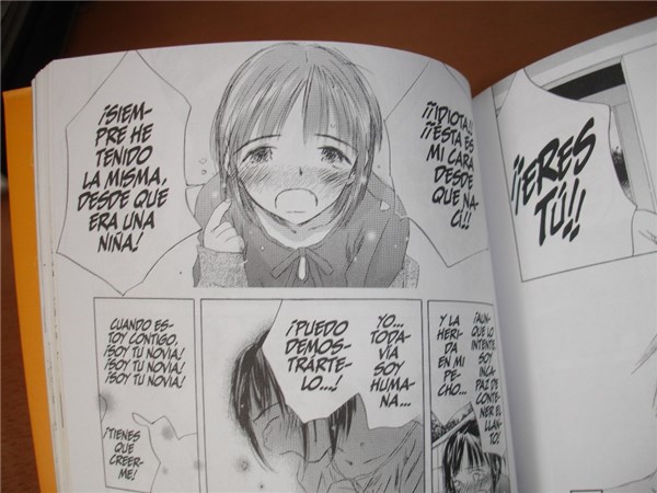 manga-japon-espana