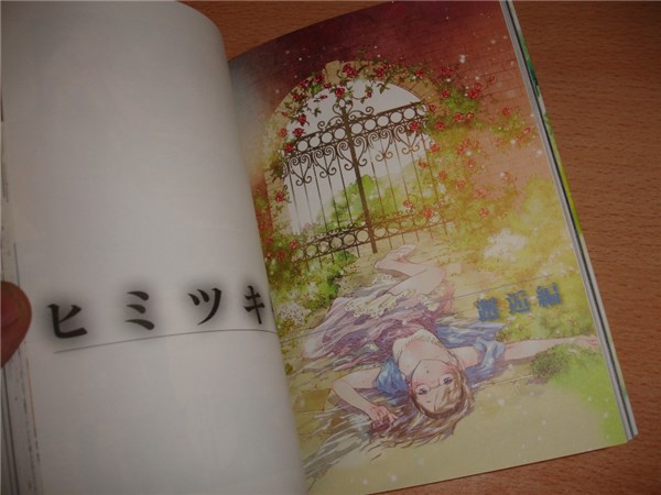 manga-japon-espana