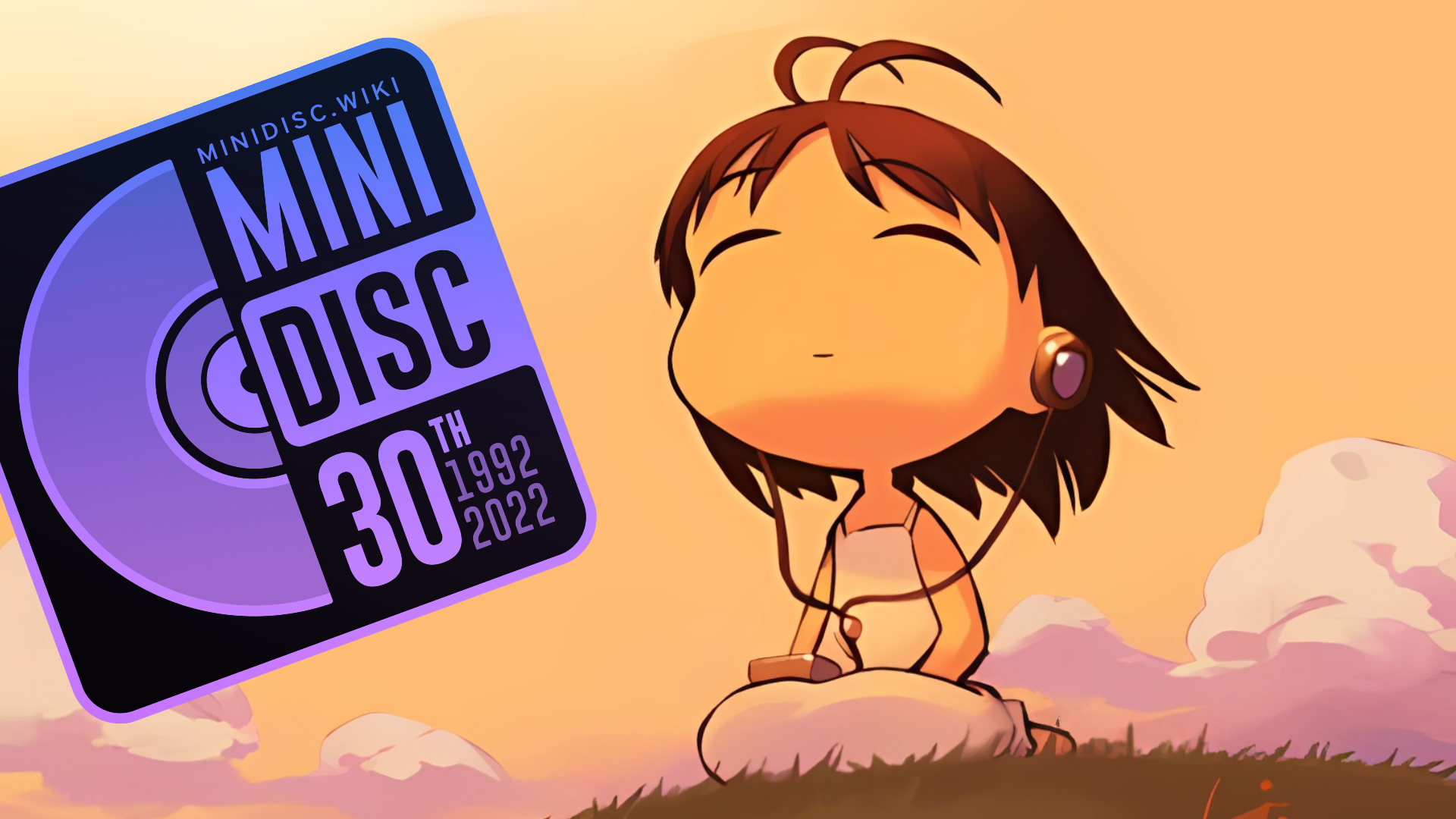 mini-disc-30
